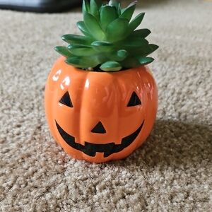 Orange Pumpkin Planter with Green Succulent